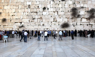Rejoice on Jerusalem Day
