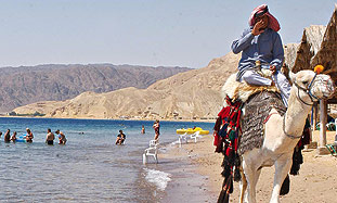 A Beduin man rides a camel on Sinai beach.