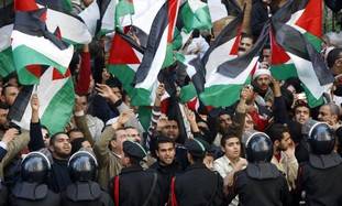 Pro-Palestinian protesters in Cairo [illustrative]