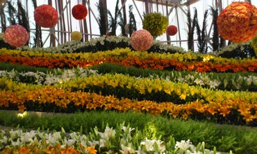 Haifa’s International Flower Exhibition 