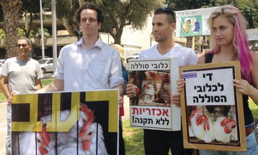 Israel bans starving hens