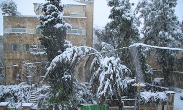 Branch bent over cable in snowy J'lem, Jan 10 2013