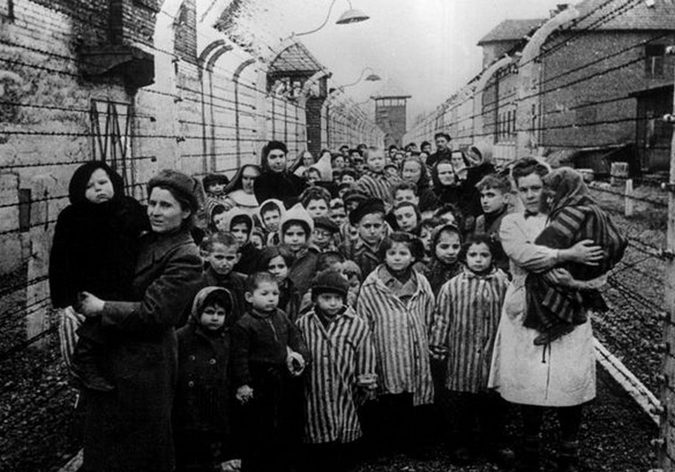 Image result for holocaust images