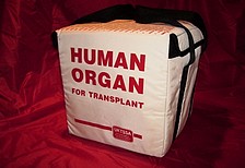 12 nabbed for organ trafficking