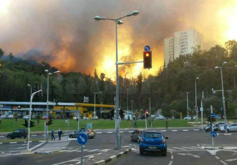 Incêndios em Haifa, 24 de novembro de 2016 (AVSHALOM SASSONI)