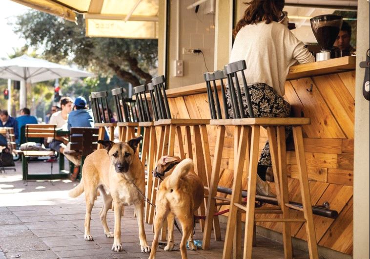 Tel Aviv