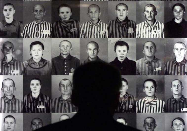 A man looks at photographs of Hungarian Jews held at the Auschwitz Concentration Camp during World W