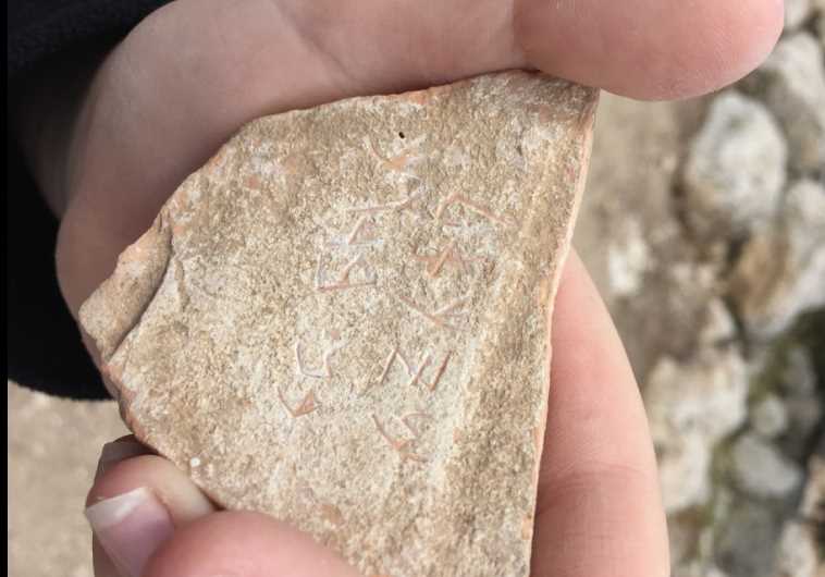 A pottery shard