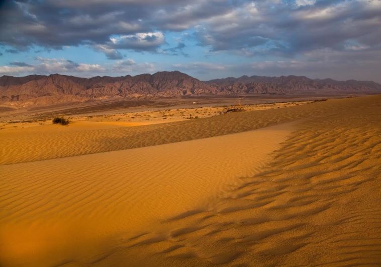 Samar sands region in the Arava