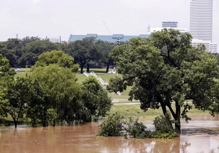 texas
