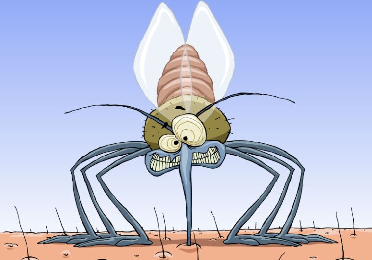 Mosquito bite