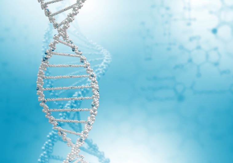 DNA 