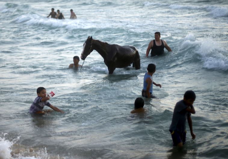 gaza