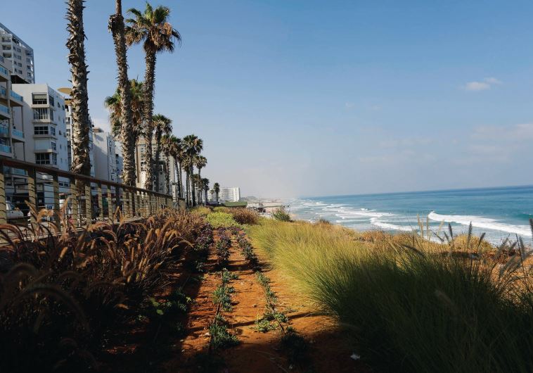 Bat Yam