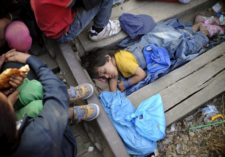 Four-year-old Rashida from Kobani, Syria, part of a new group of more than a thousand immigrants
