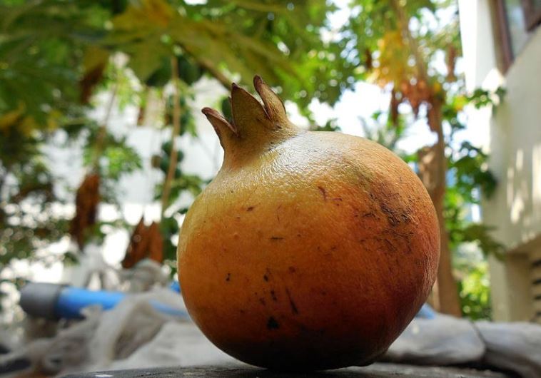 Rosh Hashana