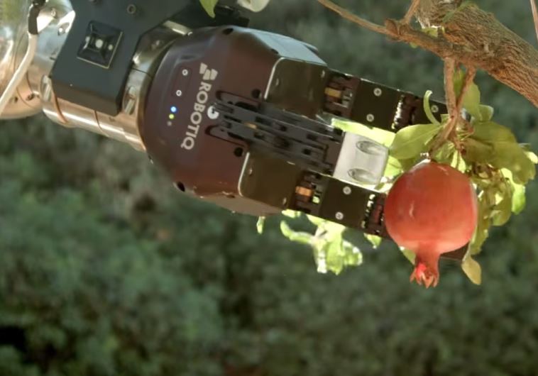Rosh HaShanah robots