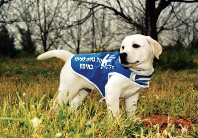 The Israel Guide Dog Center