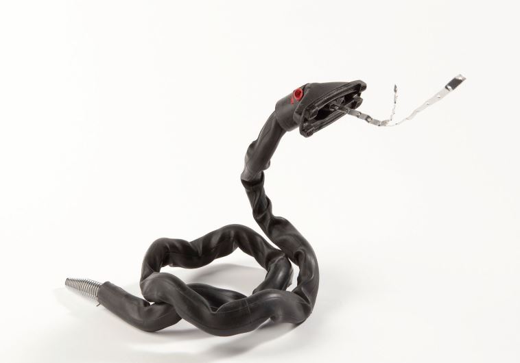 Natural History Museum