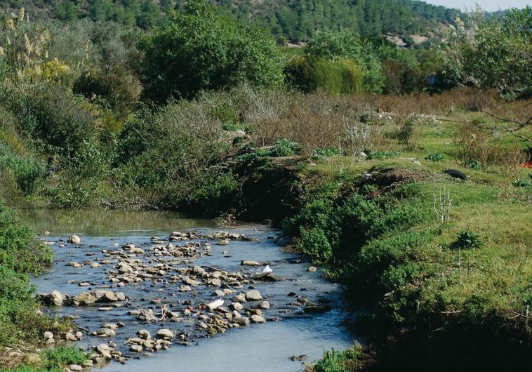 Northern Galilee