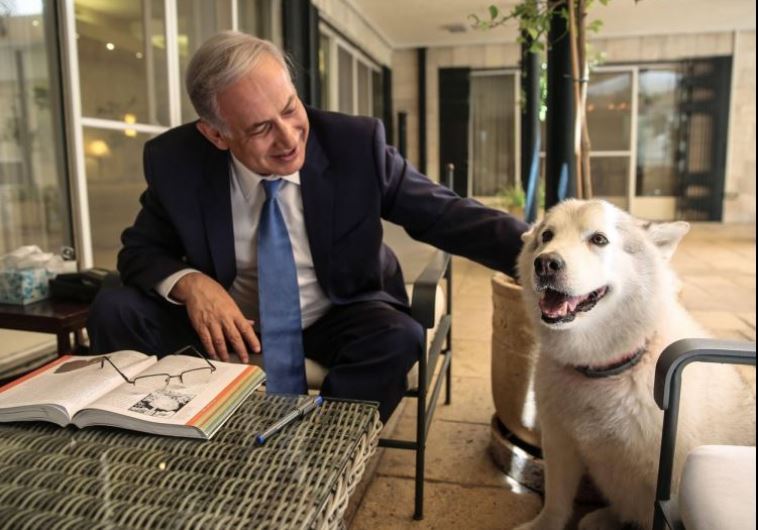 Netanyahu