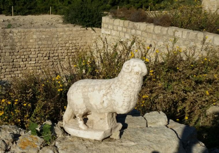 Israel archeology
