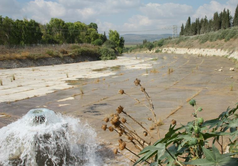 The Kishon River ‏