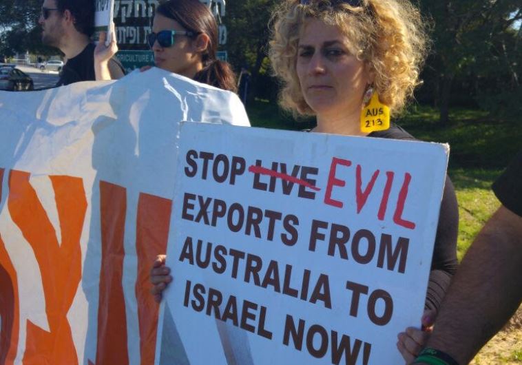Israel Against Live Transports