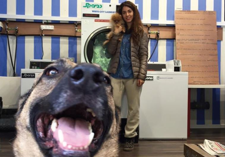 The White City Laundry