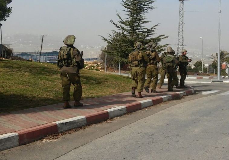 Tekoa idf