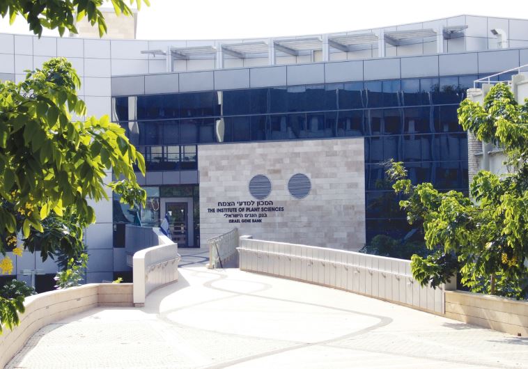 The Institute of Plant Sciences