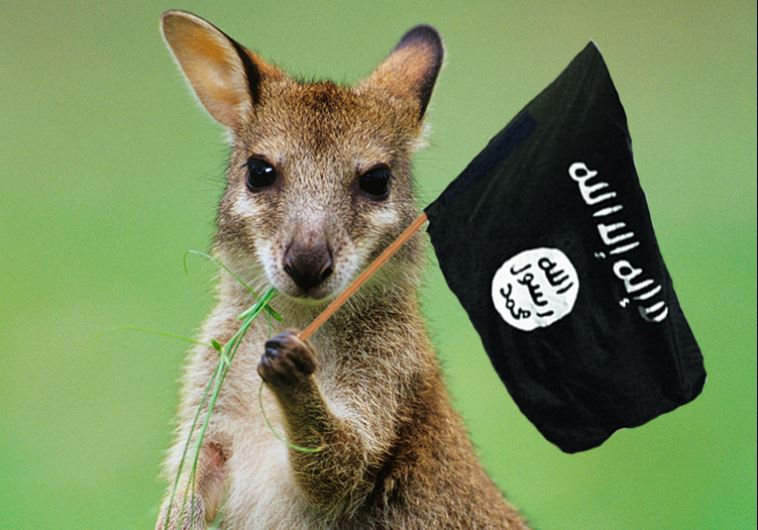 ISIS kangaroo