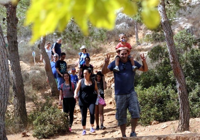 International Forest Day 2016: Saying Thank You to the Trees