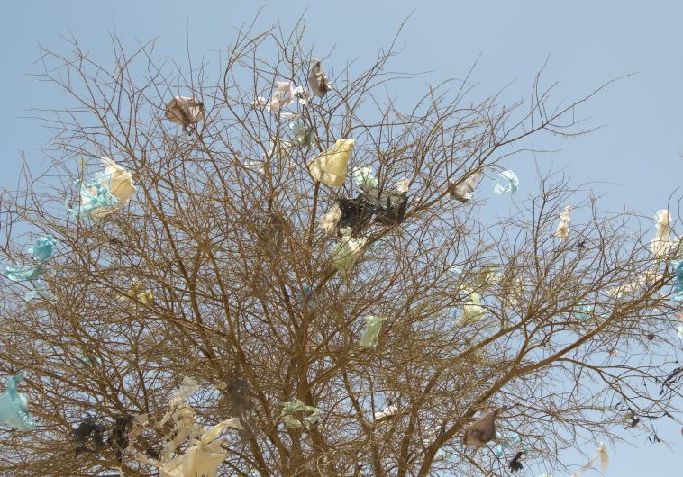 plastic bags