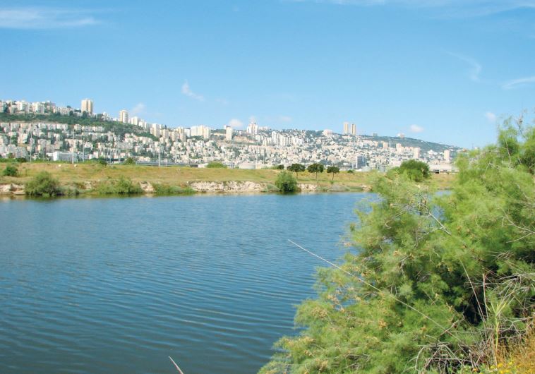 kishon river