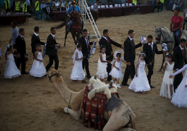 A camel is seen as Palestinian girls accompany grooms separate from the brides during a mass wedding