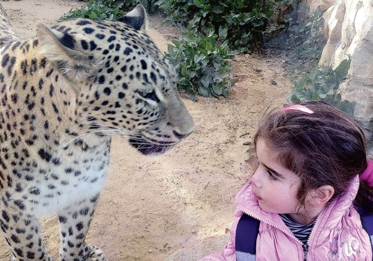 Jerusalem Biblical Zoo