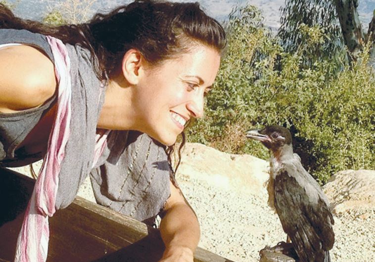 ORIT BARUCH, founder of Ohev Orev, looks at Oscar, the first crow she rehabilitated.