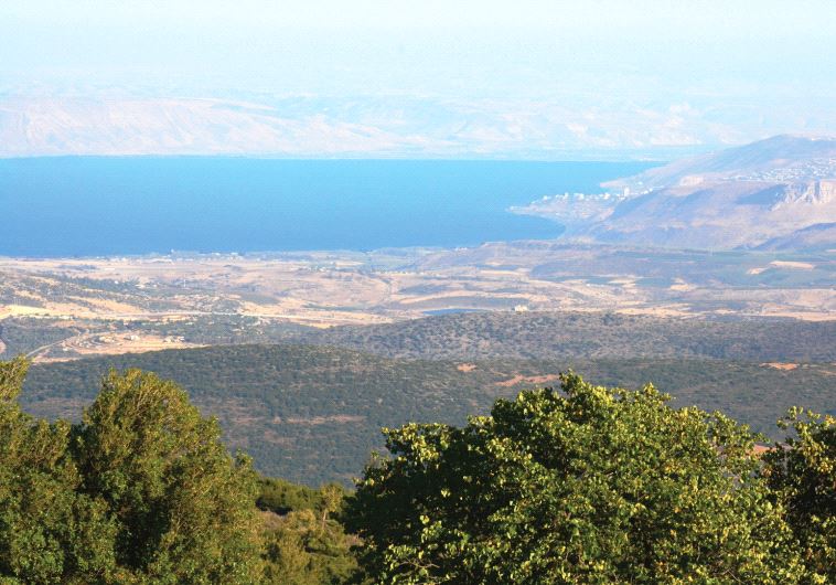 Hemdat Yamim