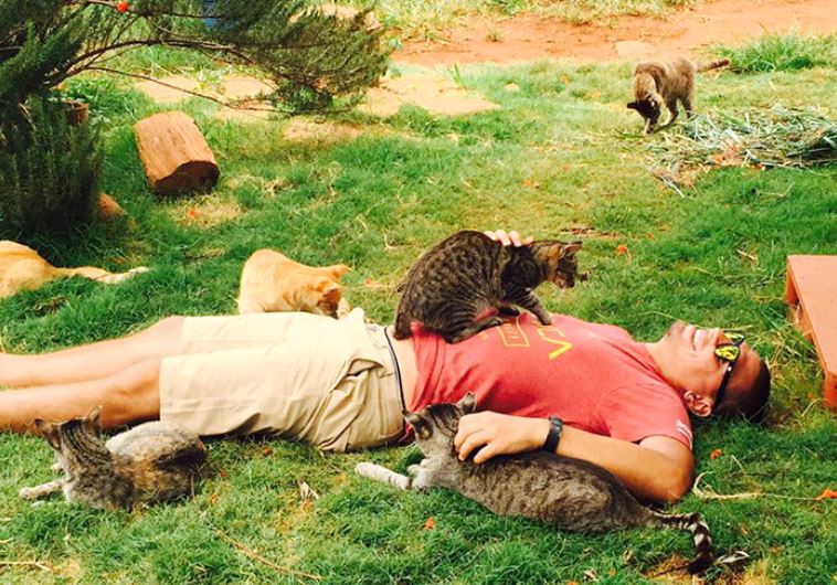 Cat Sanctuary in Hawaii