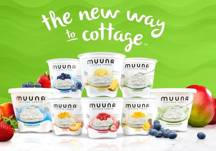 cottage cheese