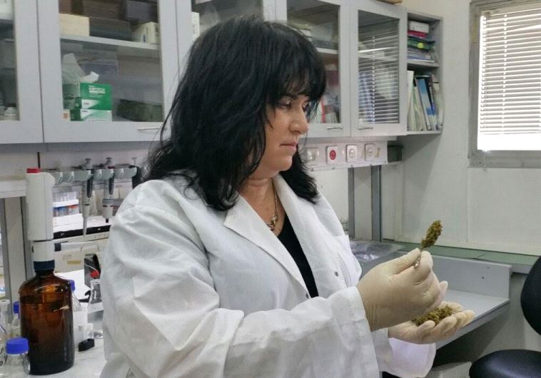 Dr. Nirit Bernstein of the Volcani Center