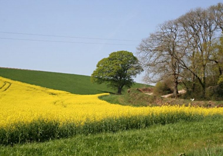british countryside