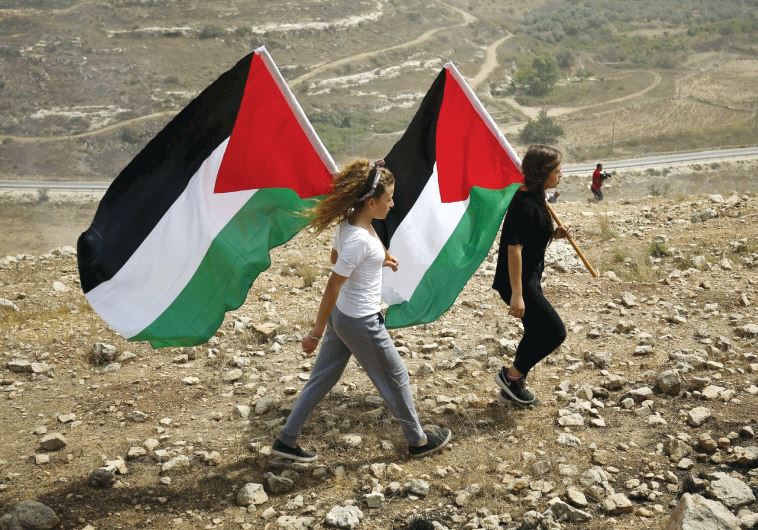 Pro Palestinian demonstration