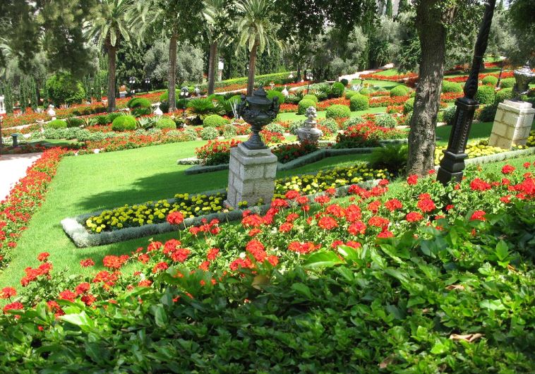 A fragrant garden