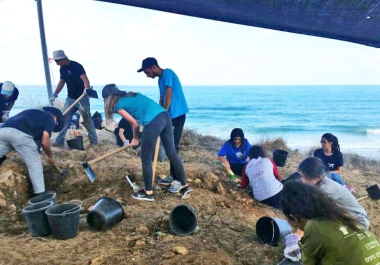 beach archeology