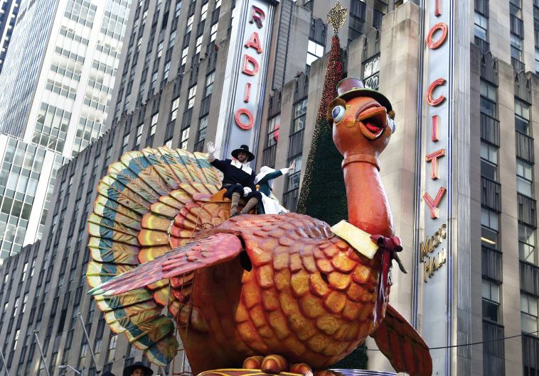 Thanksgiving turkey.