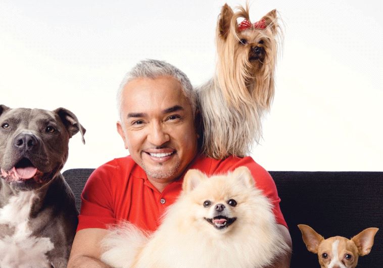 PUP CULTURE: Famed TV show host and ‘dog whisperer’ Cesar Millan