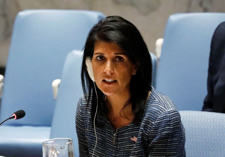US Ambassador to the United Nations Nikki Haley addresses the United Nations Security Council.