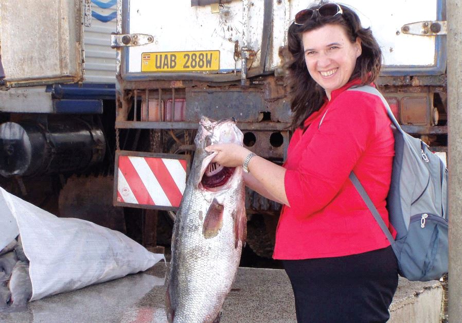 hebrew university berta levavi